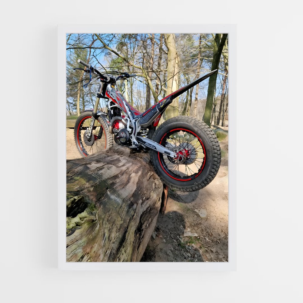 Poster Nature Ride – affiche Beta (vue 3)